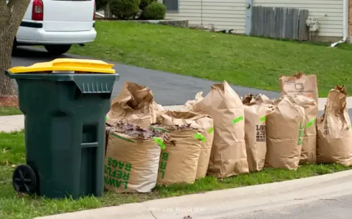 Ultimate-Guide-to-Yard-Waste-Removal-1024×577 Ultimate-Guide-to-Yard-Waste-Removal-1024x577